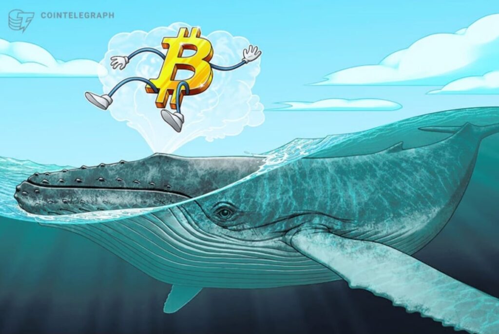 ¿Quién sostiene realmente el precio de Bitcoin?