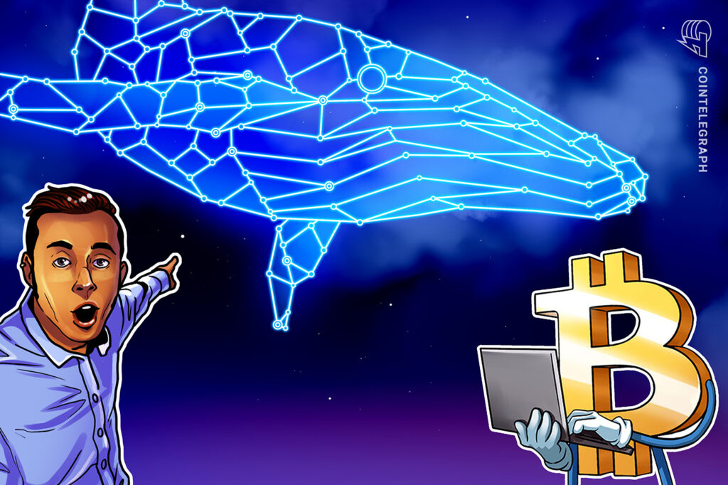 Baleias de Bitcoin estão começando a acumular novamente a US$ 71 mil