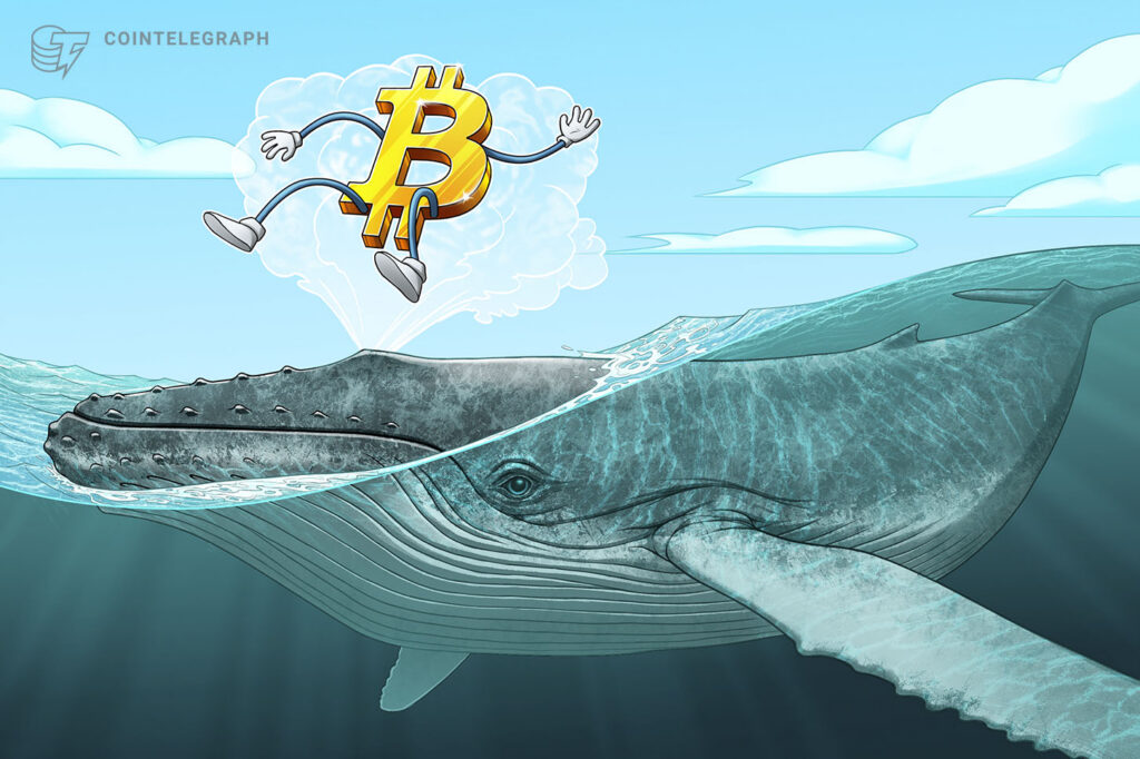 50K BTC Flow Adds Pressure To Bitcoin Price: Will The Sell-off Deepen?
