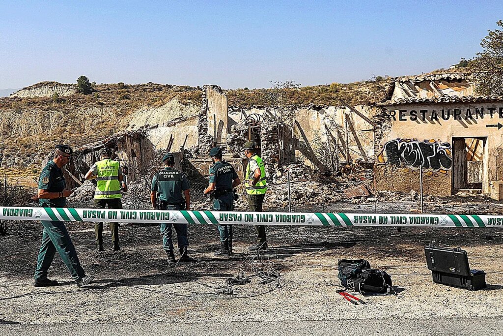 ¿Cómo pudo originar el fuego de Los Gallardos un cable «sin electricidad desde 2009» según la compañía Endesa?