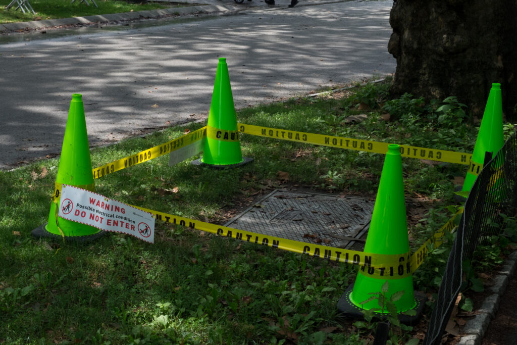Stray voltage discovered in NYC’s Central Park, but did it cause the deadly horse carriage crash?