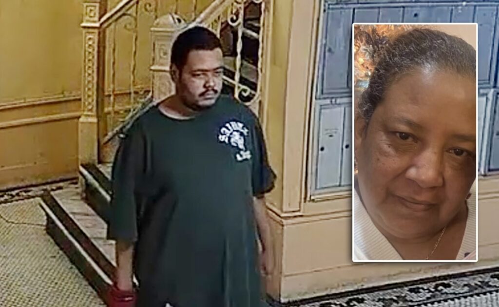 Bronx man accused of killing mom had stabbed woman repeatedly: DA