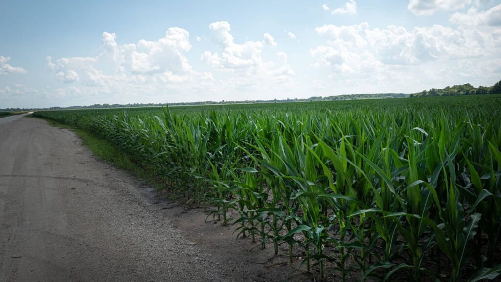 Cramer says this newly spun-off stock that helps our food grow is a buy. Here’s why